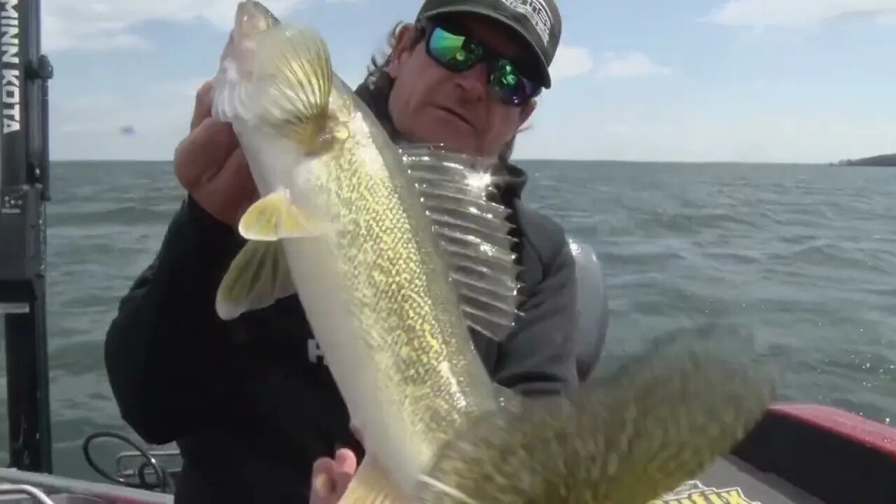 Early Season Walleyes on Leech Lake