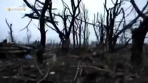 ‼️🇷🇺🔞Footage of the aftermath of fierce fighting on theAvdiivka/Many corpses of liquidated militants