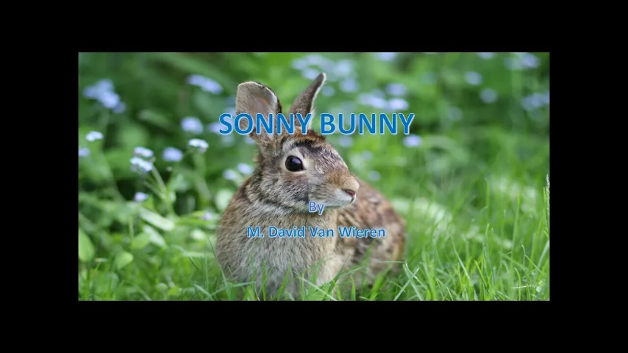 SONNY BUNNY book and song by David Van Wieren