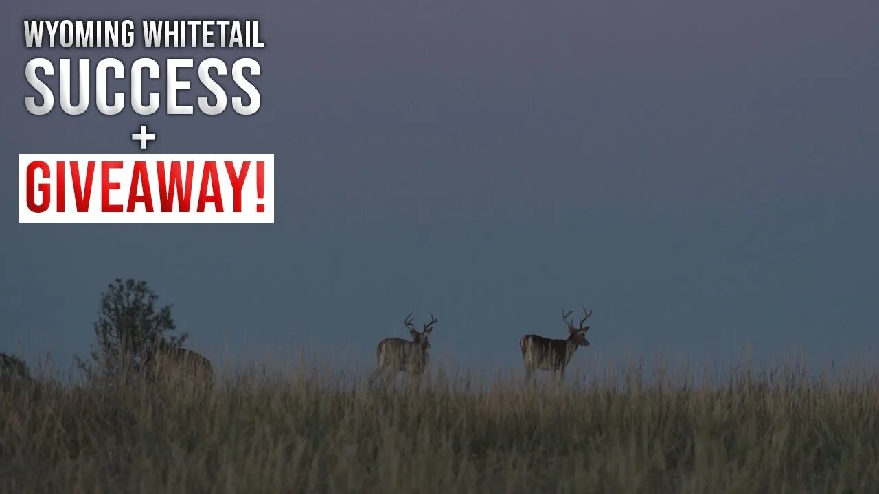 Wyoming Whitetail Success + Giveaway!