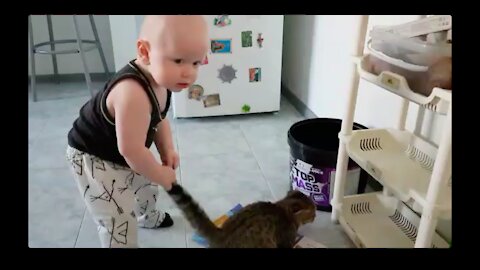 The kid first saw a kitten and decided to play with him