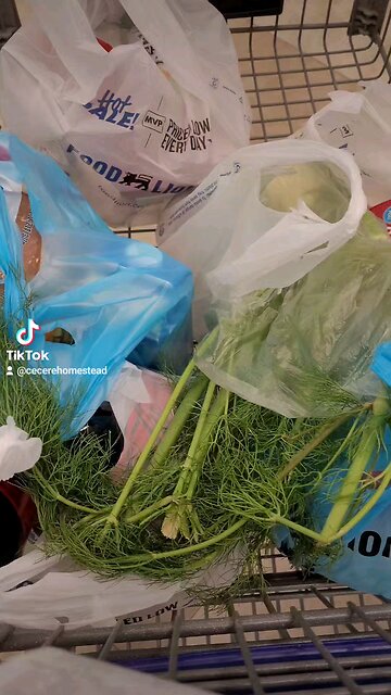 Love Those Blue Bags