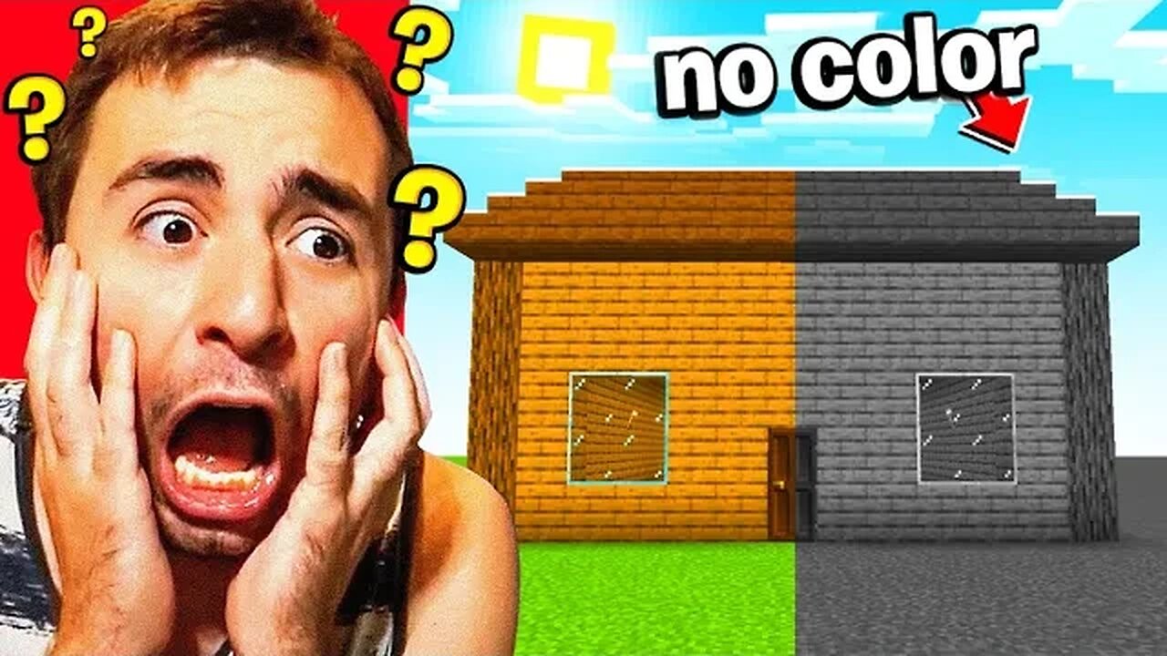 Slowly Removing all COLORS from his Minecraft House..