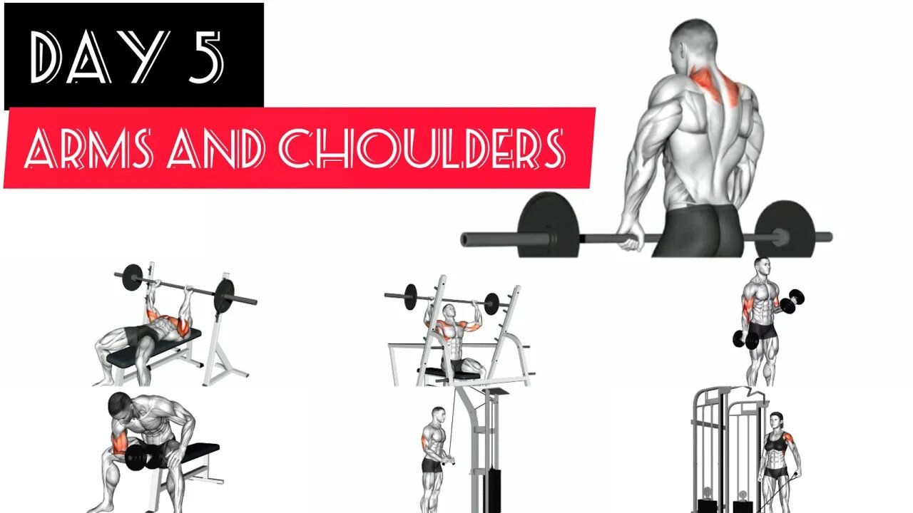 Day 5:Arms and choulders