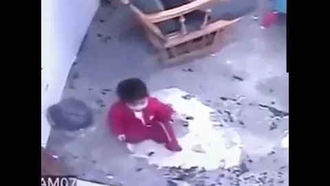 Cat blocks and prevents a baby from crawling to a fatal fall down some stairs