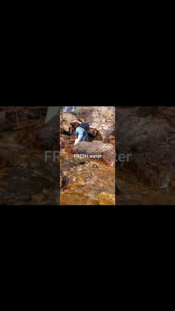 Just out Drinking From A Water Fall. #waterfalls #shorts