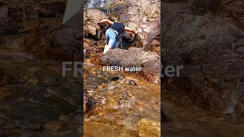 Just out Drinking From A Water Fall. #waterfalls #shorts