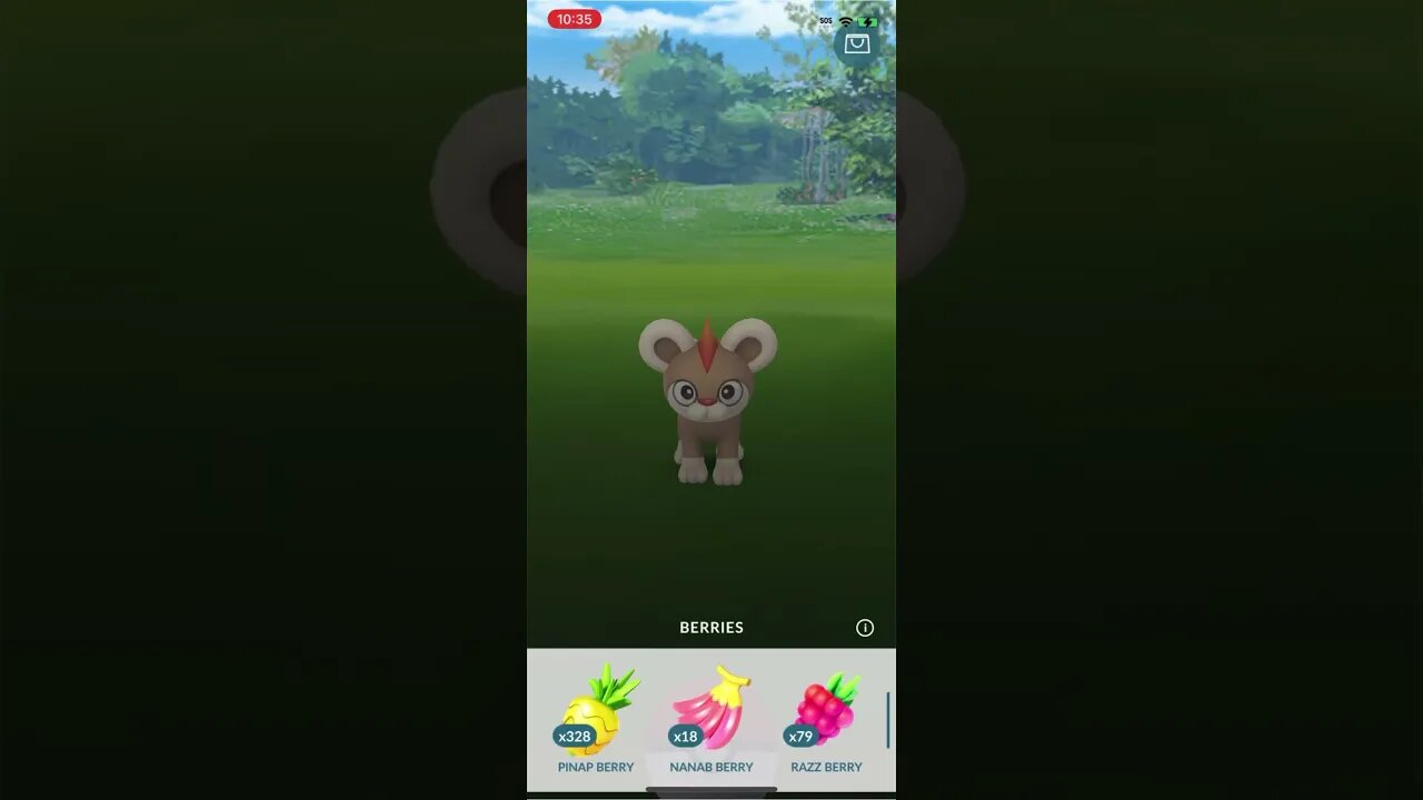 Shiny Compilation