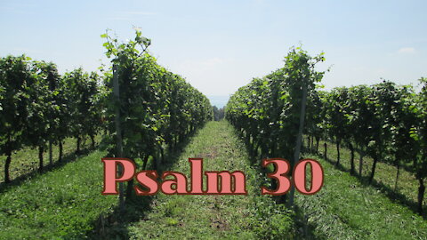 Psalm 30