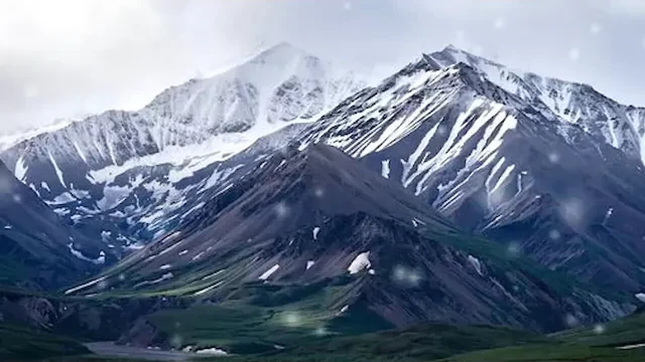 Whispers of Frost Embracing the Cold Beauty of Snow