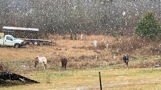 Snow for Alabama today.