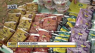 Doggie Dash 2019