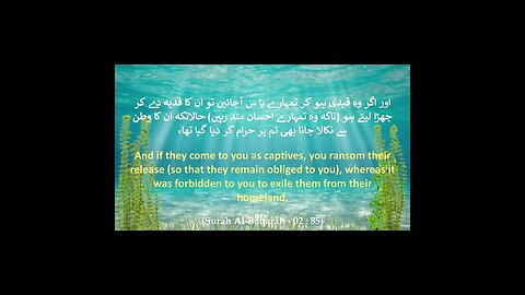 Journey through the Quran: Surah Al-Baqarah (The Cow) Verse 85 Deconstructed HD #shorts