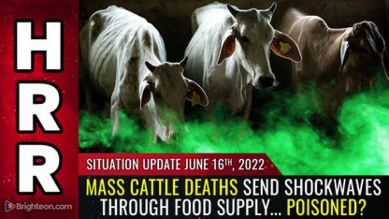 06-16-22 S.U. - Mass CATTLE Deaths Send Shockwaves Through Food Supply... POISONED