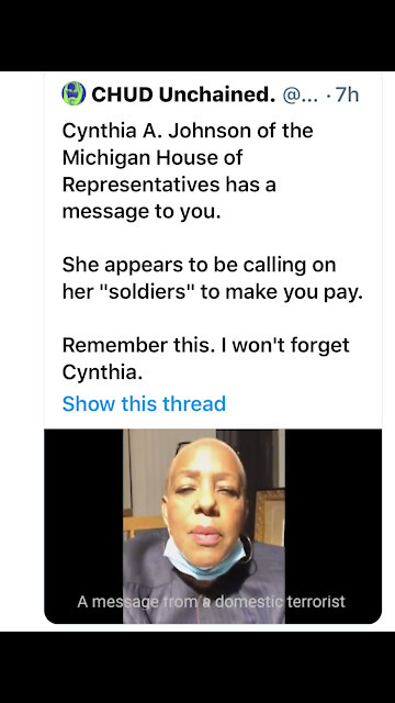 Michigan Rep Cynthia A Johnson THREATENS TRUMP SUPPORTERS WITH PHYSICAL HARM