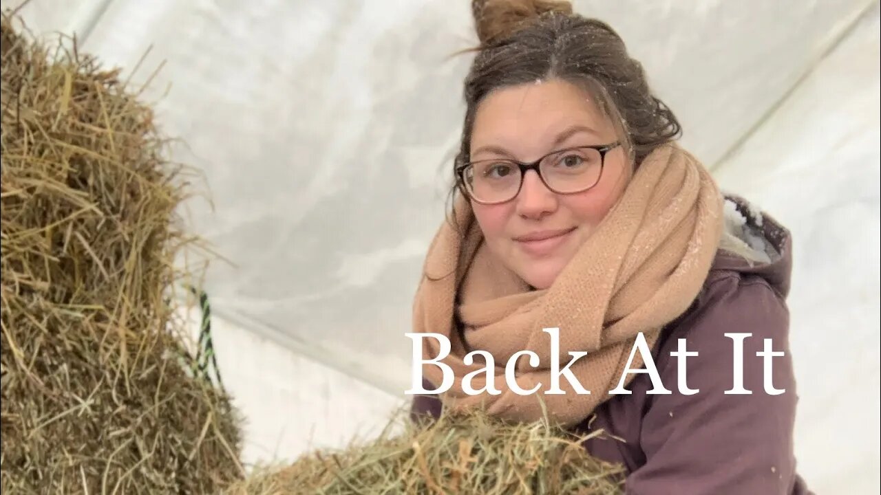 She's Getting Back at It!! Off-Grid Homestead Vlog