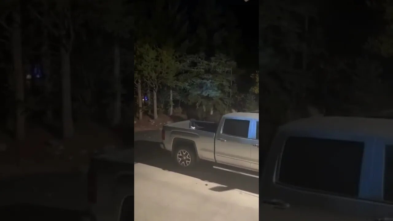 Extreme Moose Fight.