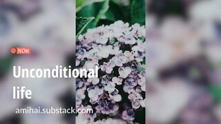 Unconditional life? | amihai.substack.com | Art of Now