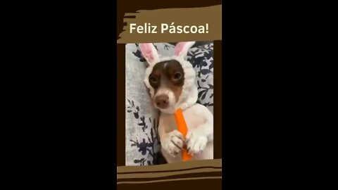 Feliz Pascoa