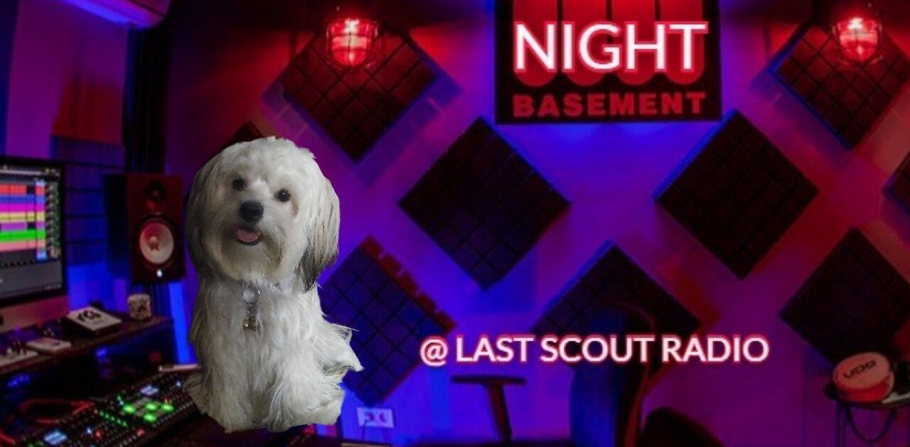 Night Basement "Lolly Mae Mayhem"