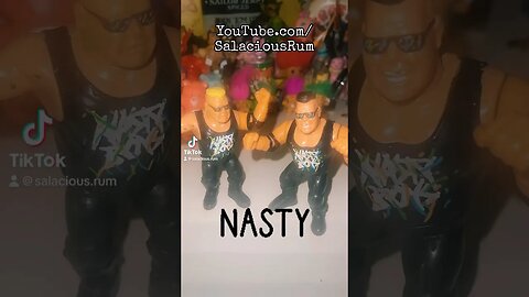 NASTY BOYS! #wwf #hasbro