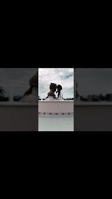 Happy Thanksgiving from the estate. Hope y’all are having a great day those in the US and world. ￼