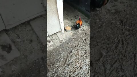 Good morning Rhiannon Rusty and P2