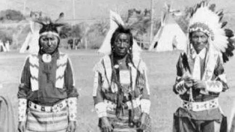 THERE IS NO SUCH THING AS AFRICAN AMERICAN #blacks #white #natives #indian