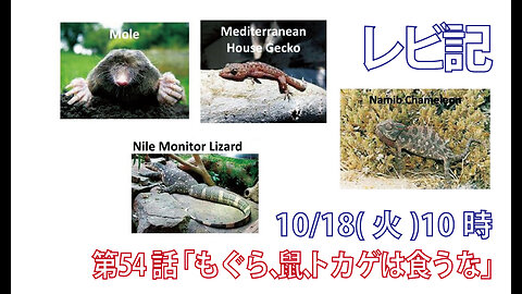 ｢もぐら、鼠、とかげは食うな｣(レビ11.29-31)みことば福音教会2022.10.18(火)