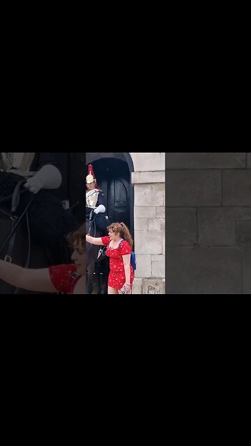 Horse likes strawberry #horseguardsparade
