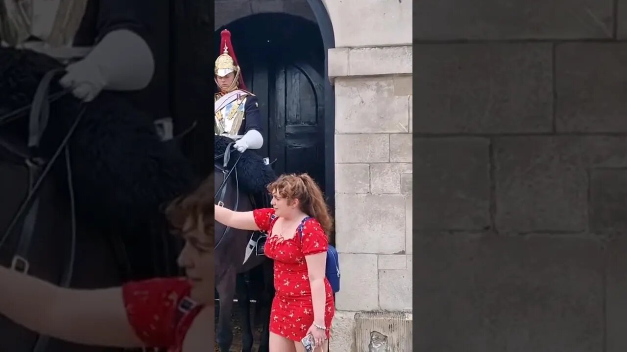 Horse likes strawberry #horseguardsparade