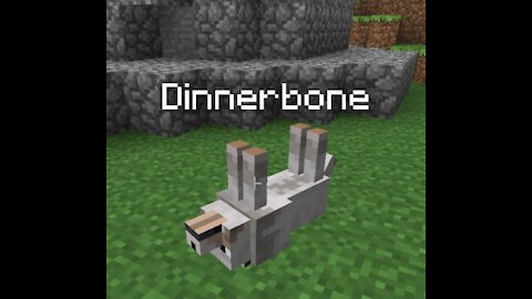 Is Dinnerbone Real? ( Friendly Mobs)