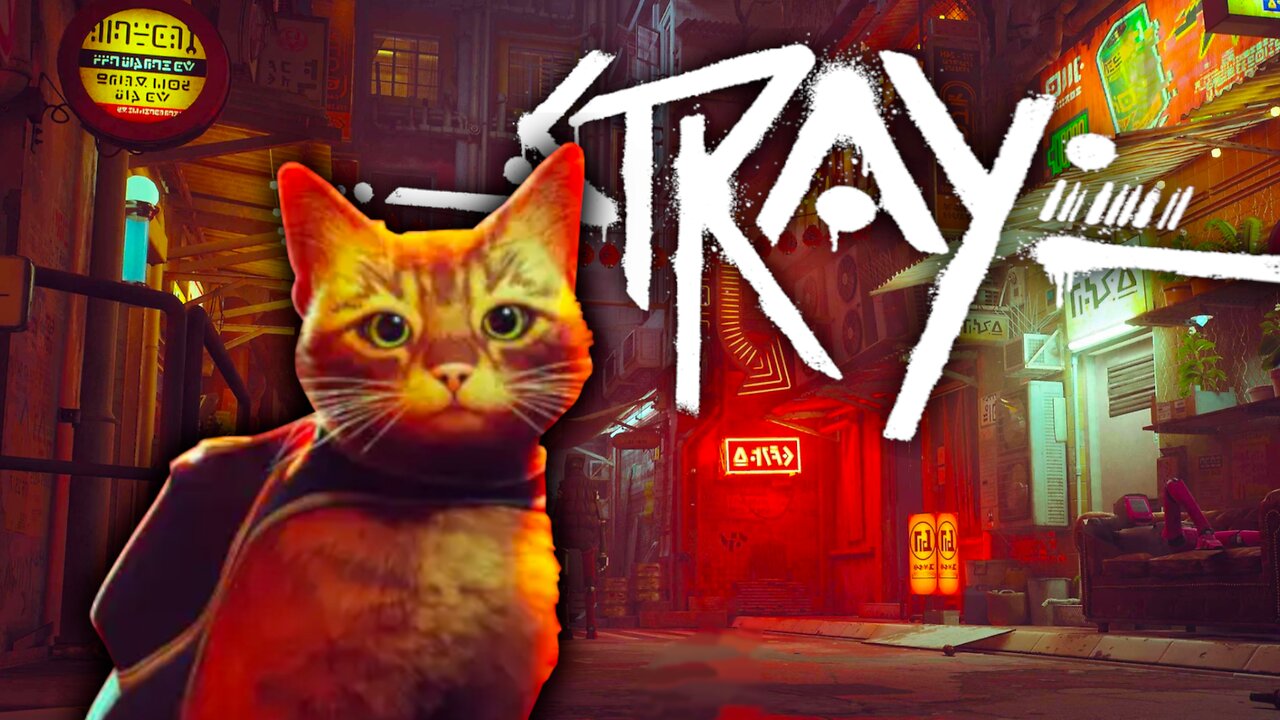 Playing Stray!!!