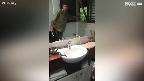 Il tombe nez à nez avec un serpent dans sa salle de bain