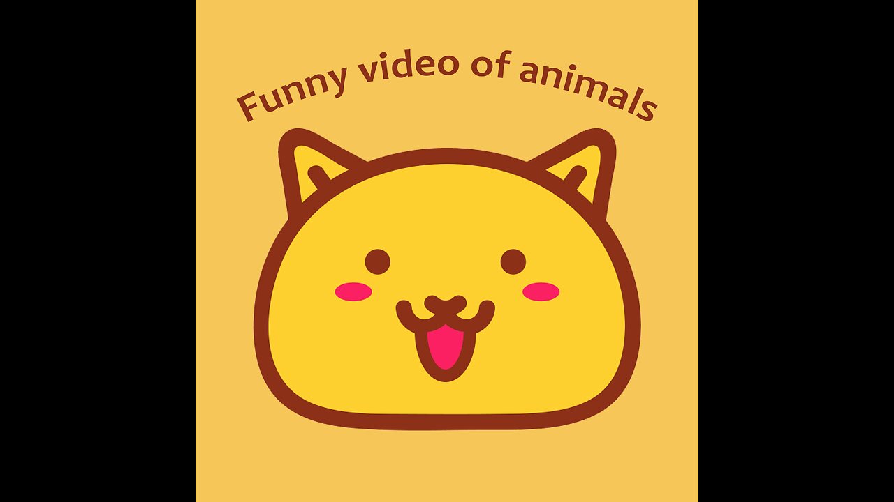 Funny cats