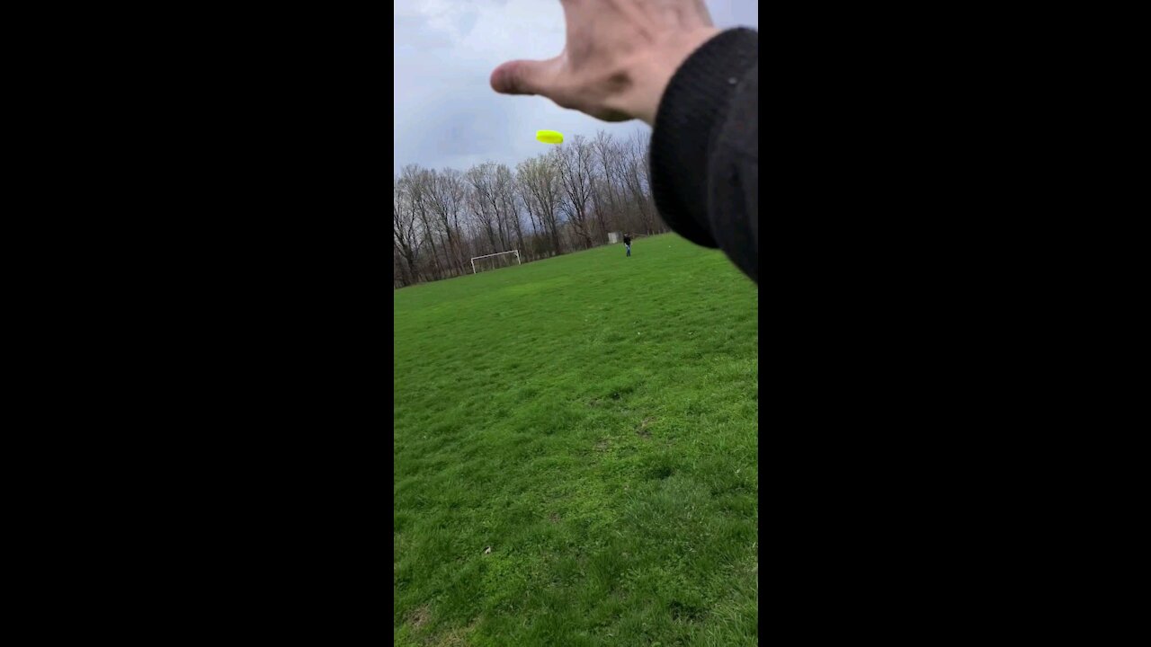 SLOW-MO ZIP CHIP