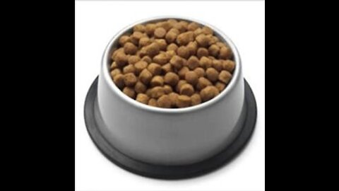 The Difference Between Freeze Dried & Dehydrated Dog Food