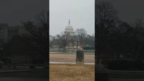 2/22/22 Nancy Drew in DC-Video 1-West side of Capitol Morning Thoughts With Nancy- Language Alert