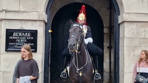 Horse frightening the life out of tourist #horseguardsparade