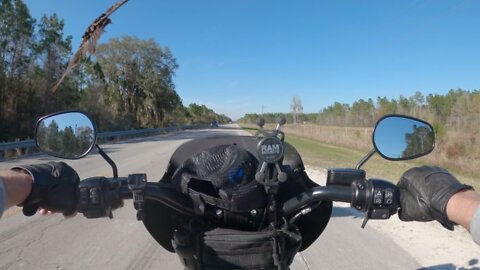 Buzzard buzzes my Hog heading back from Horseshoe Beach