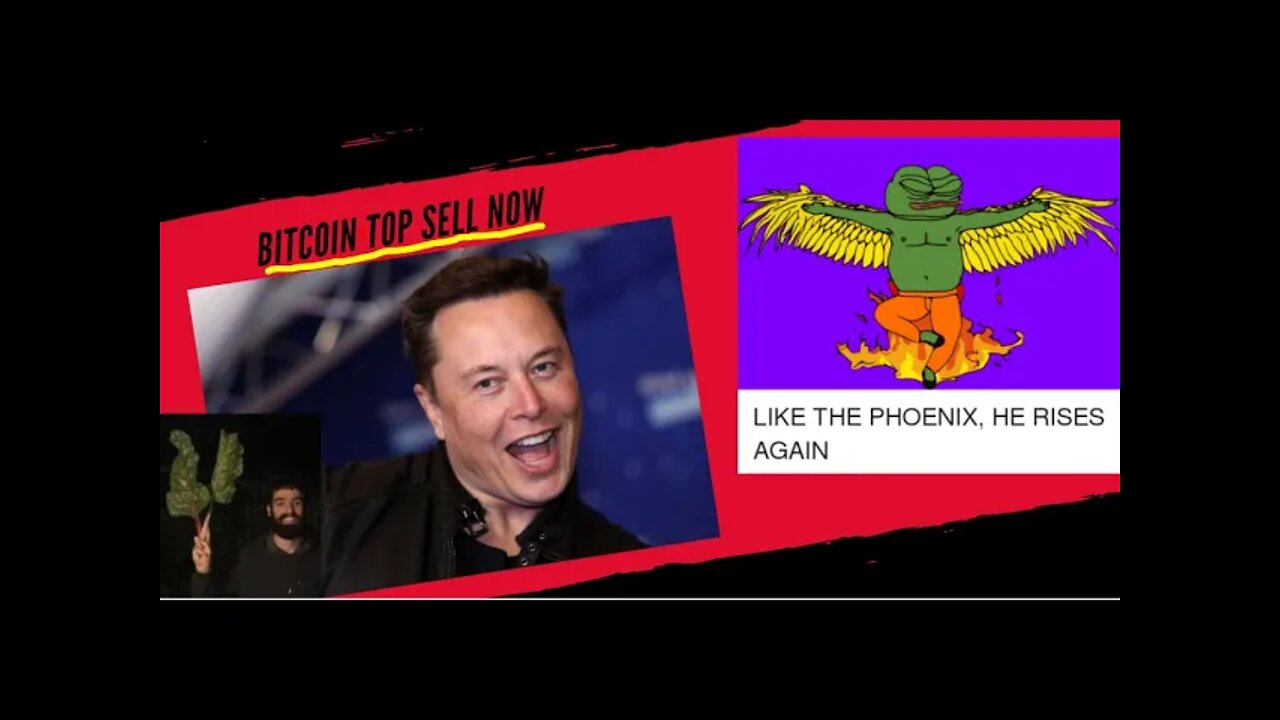 Elon May have Called Bitcoin Top syncing with Breath in Joe's Nostrils