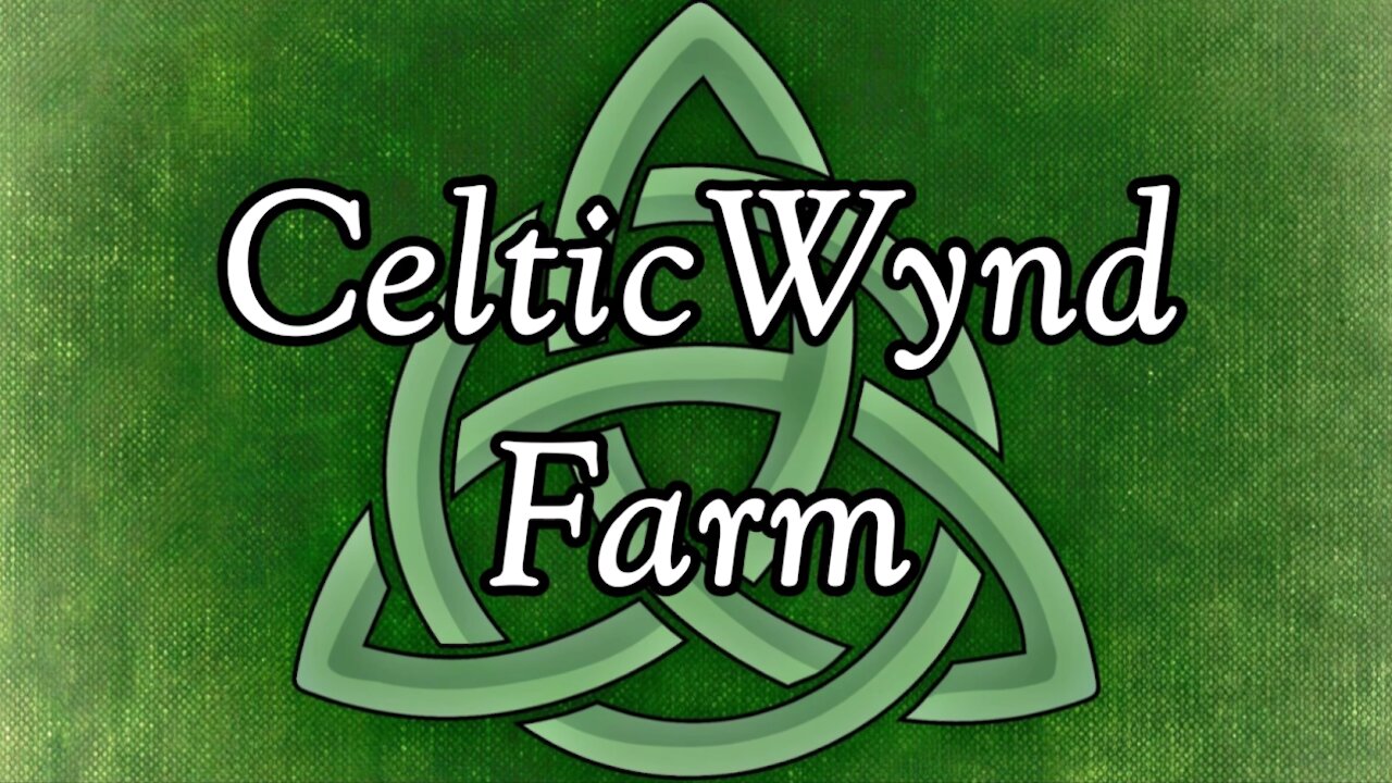 Introduction to CelticWynd Farm!