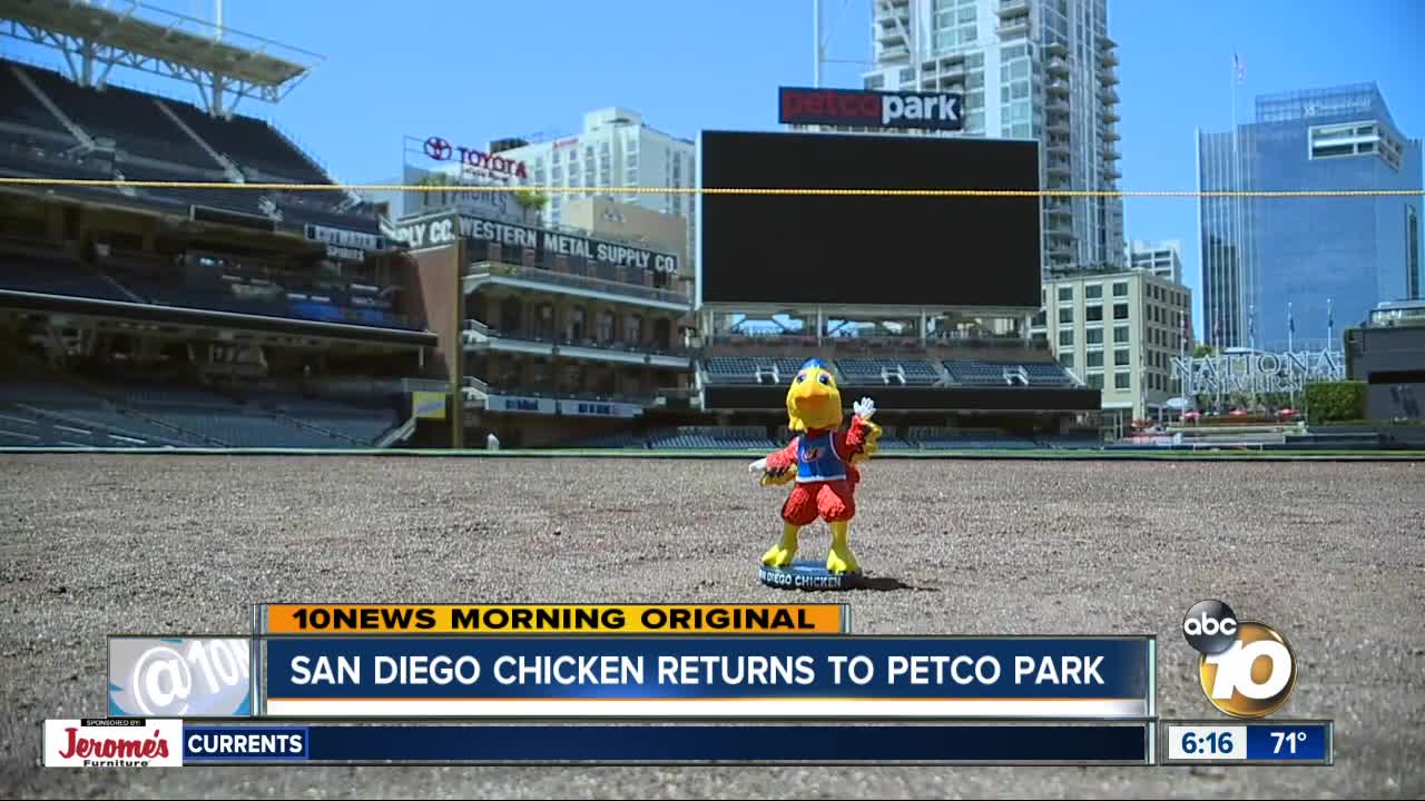 San Diego Chicken returns to Petco Park Saturday night