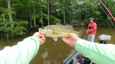 Shaky Head Bass Fishing Virginia Creeks