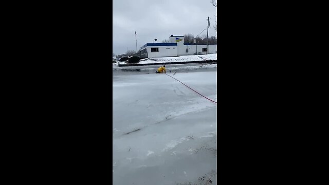 South MKE FD rescues bulldog from Lake Michigan