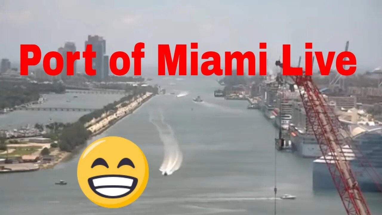 Port of Miami Live