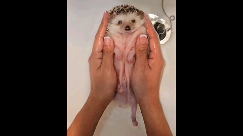 ☺️