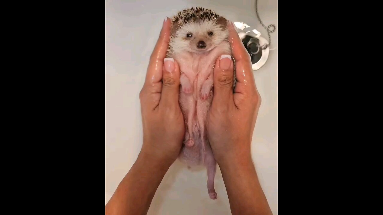 ☺️