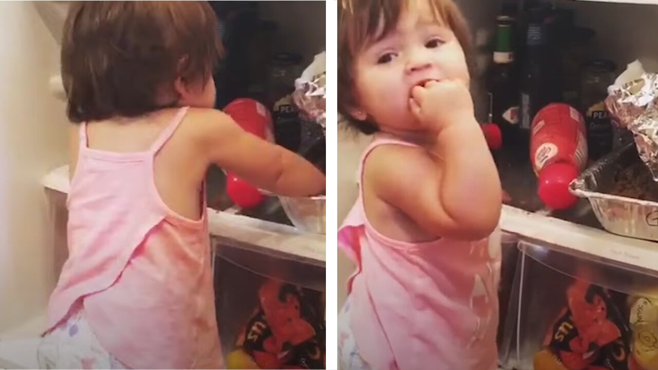 What Happens When Baby Open The Fridge | Funny baby