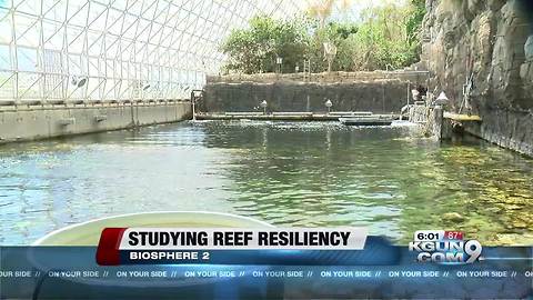 Biosphere 2 ready to help save reefs